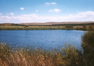 Lago Biviere Gela