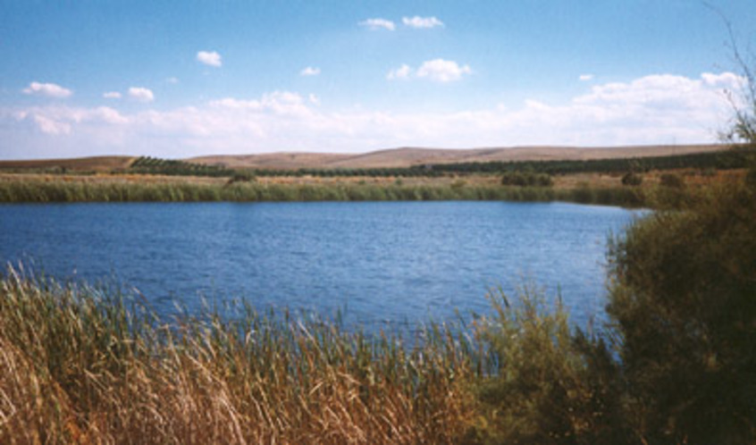 Lago Biviere Gela