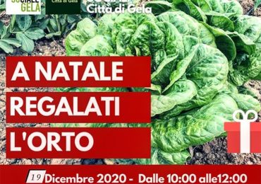 orto